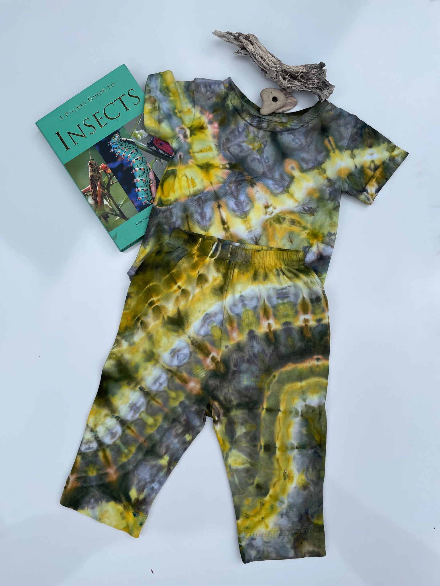 Grasshopper Set