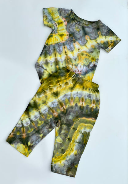 Grasshopper Set