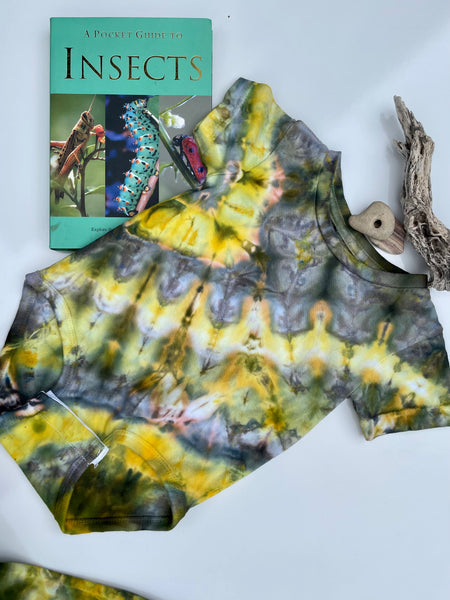 Grasshopper Set