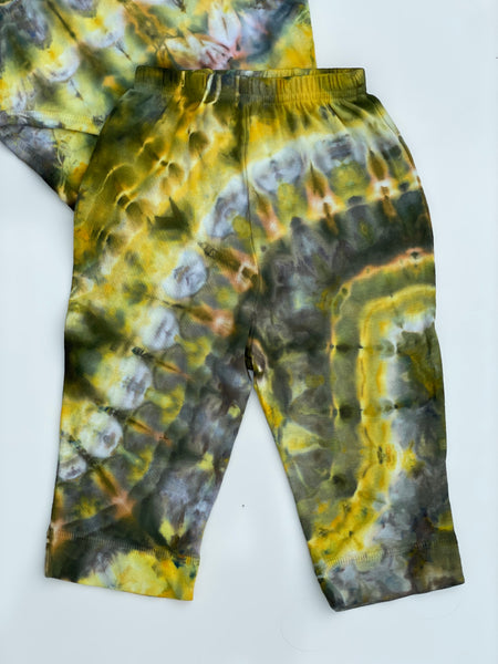 Grasshopper Set